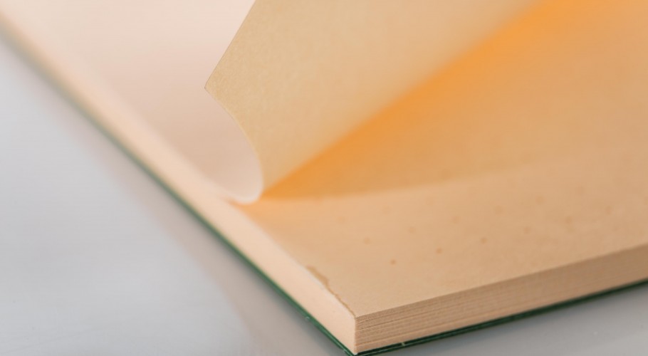 Papyrus1205.jpg