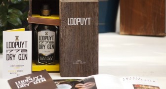 Loopuyt