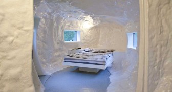 Verbeke Foundation