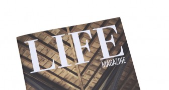 Life Magazine