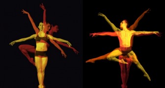 Royal Flanders Ballet