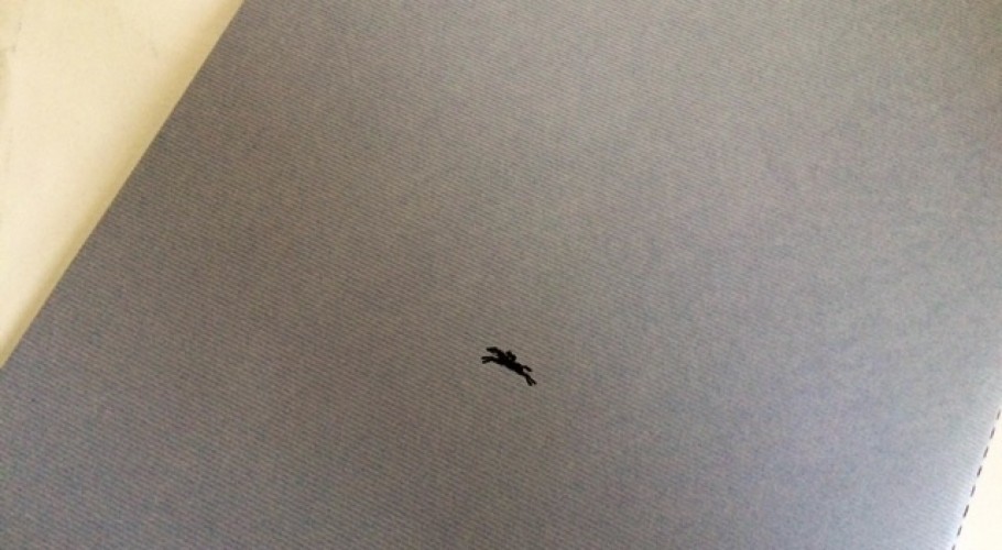 PHOTO 12.jpg