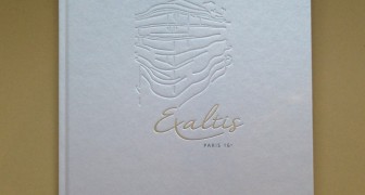 Exaltis Real Estate brochure